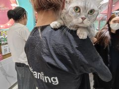 -FAELING PETS美天灵宠物(合生汇店)