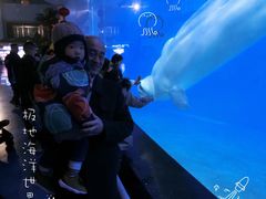 -泉城欧乐堡海洋极地世界
