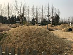 -前小桔亲子创意农场·草莓采摘·露营烧烤