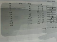 -半岛宠物医院24小时(科华中路店)
