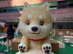 -新城市广场