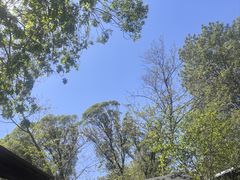 -BOCATA 西班牙餐厅(三里屯店)