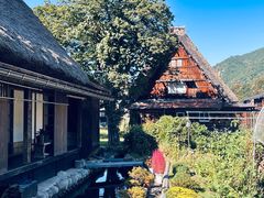 -白川乡与五箇山的合掌构造村落