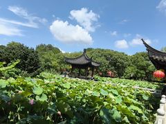 -丝绸小镇荻港古村