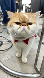 -蚂蚁造型俱乐部
