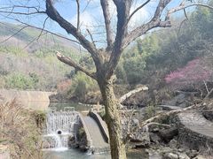 -夏霖九天银瀑风景区