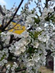 -G-STEPS舞蹈工作室