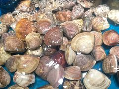 -SEA西雅图海鲜自助餐厅(海乐世界店)