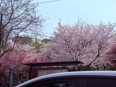 -西湖文化广场