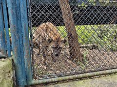 -大连森林动物园