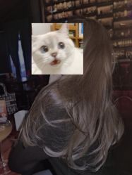 -涩谷· Hair Salon