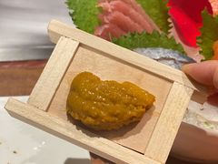 -大渔·观筵(三里屯太古里店)