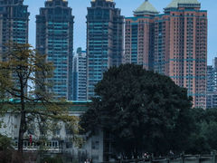 -东山湖公园