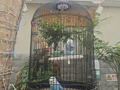 -丽江庭院之丽江往事(安定门店)