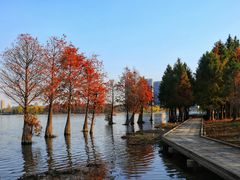 -石湖景区