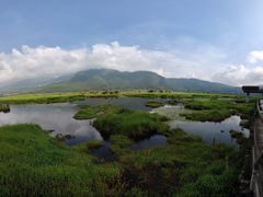 -腾冲北海湿地