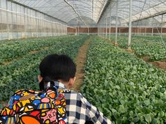 -上膳源有机农场