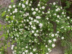 -沕沕水生态风景区