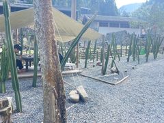 -MOJ coffee(瓯海泽雅水碓坑店)