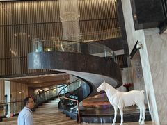 -国龙大酒店-中餐厅