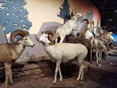 -陕西自然博物馆