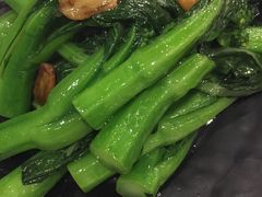 -裕.鹅庄