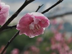 -宁波市保国寺古建筑博物馆