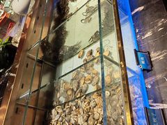-鼎香缘海鲜自助火锅烤肉(锦辉购物广场店)
