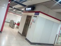 -桃浦新村(地铁站)