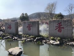 -香雪海