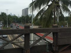 -万绿园