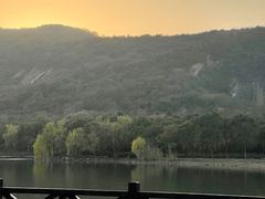 -长广溪湿地公园