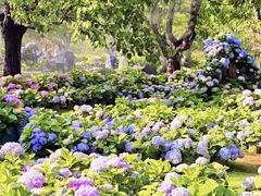 -名花谷生态庄园