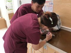 -美联众合动物医院·24h京西诊疗中心