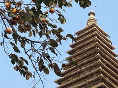 -北京石刻艺术博物馆(五塔寺)