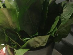 -京韵胡同·酱香羊蝎子火锅涮肉(长寿路店)