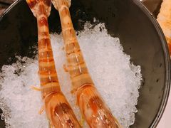 -鲜入围煮花胶鸡海鲜火锅