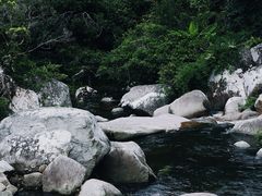 -海南热带雨林国家公园吊罗山景区