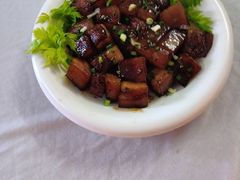 -天鹅到家·保姆月嫂育儿嫂(蔚蓝海岸店)