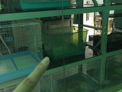 -雨林宠物医院 非犬猫异宠专科