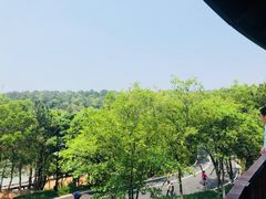 -南京市无想山景区