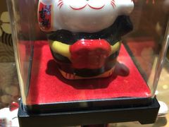 -猫咪博物馆(顶澳仔猫街店)