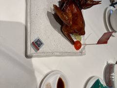 -侨美食家·40年地道粤菜(珠江新城店)
