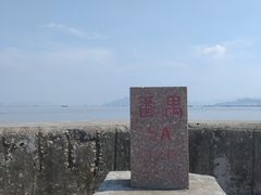 -海鸥岛