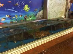 -御唐府海珊瑚主题餐厅