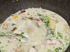 -鲜潭蒸汽石锅鱼(五道口购物中心店)