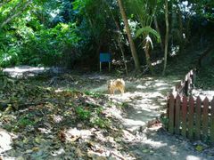 android_upload_pic-东姑阿都拉曼海洋公园