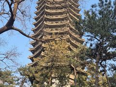 -博雅塔