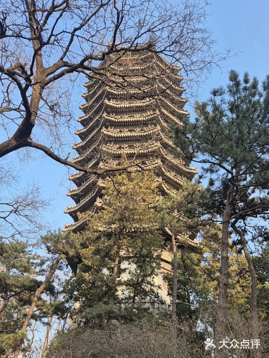 博雅塔图片