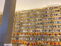 -深影国际影城(学院南路店CGS中国巨幕店)